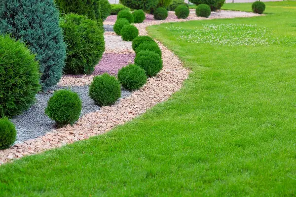 Landscape Maintenance