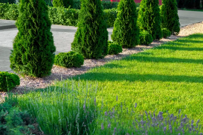 Landscaping Contractor in Aurora, CO