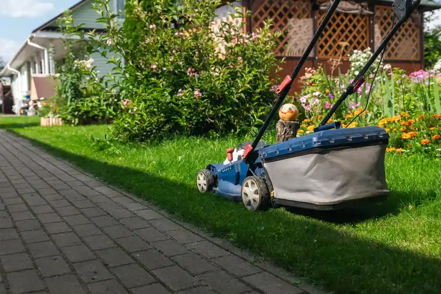 Affordable Landscape Maintenance Aurora, CO