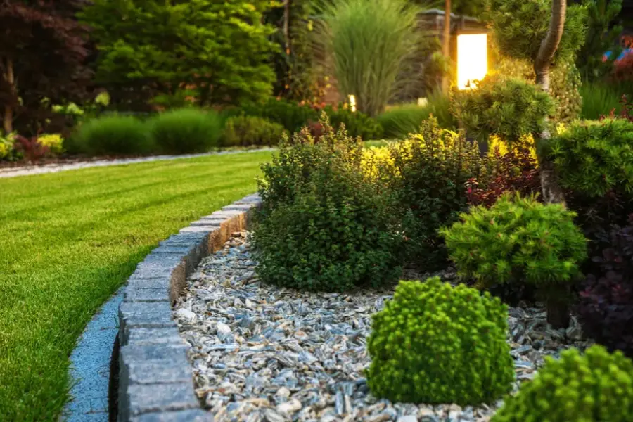 How Seasonal Changes Affect Landscape Maintenance Aurora, CO