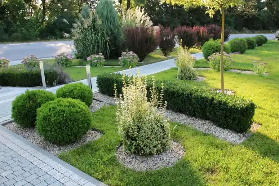 How Seasonal Changes Affect Landscape Maintenance in Aurora, CO