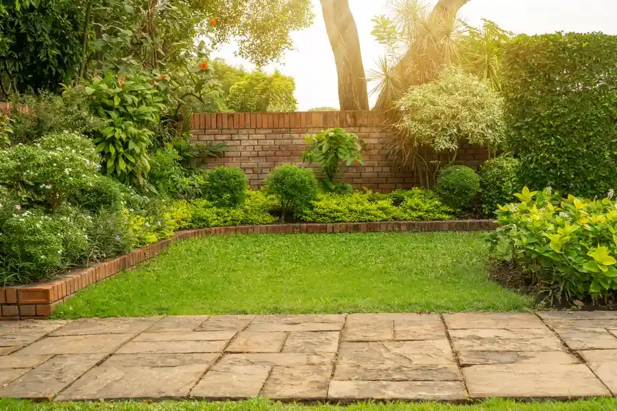 How Trimming Enhances Plant Growth And Appearance in Aurora, CO