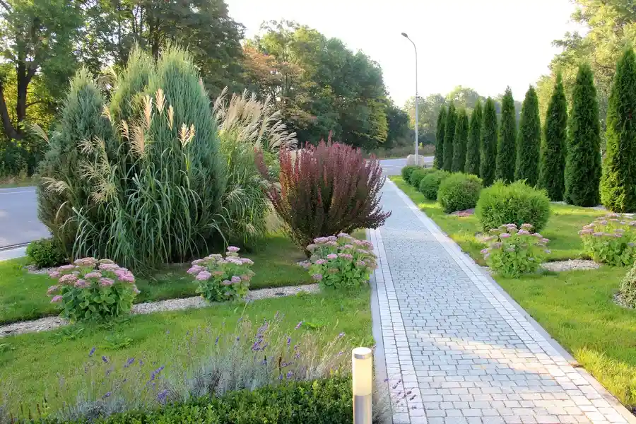 Reliable Landscape Maintenance Aurora, CO